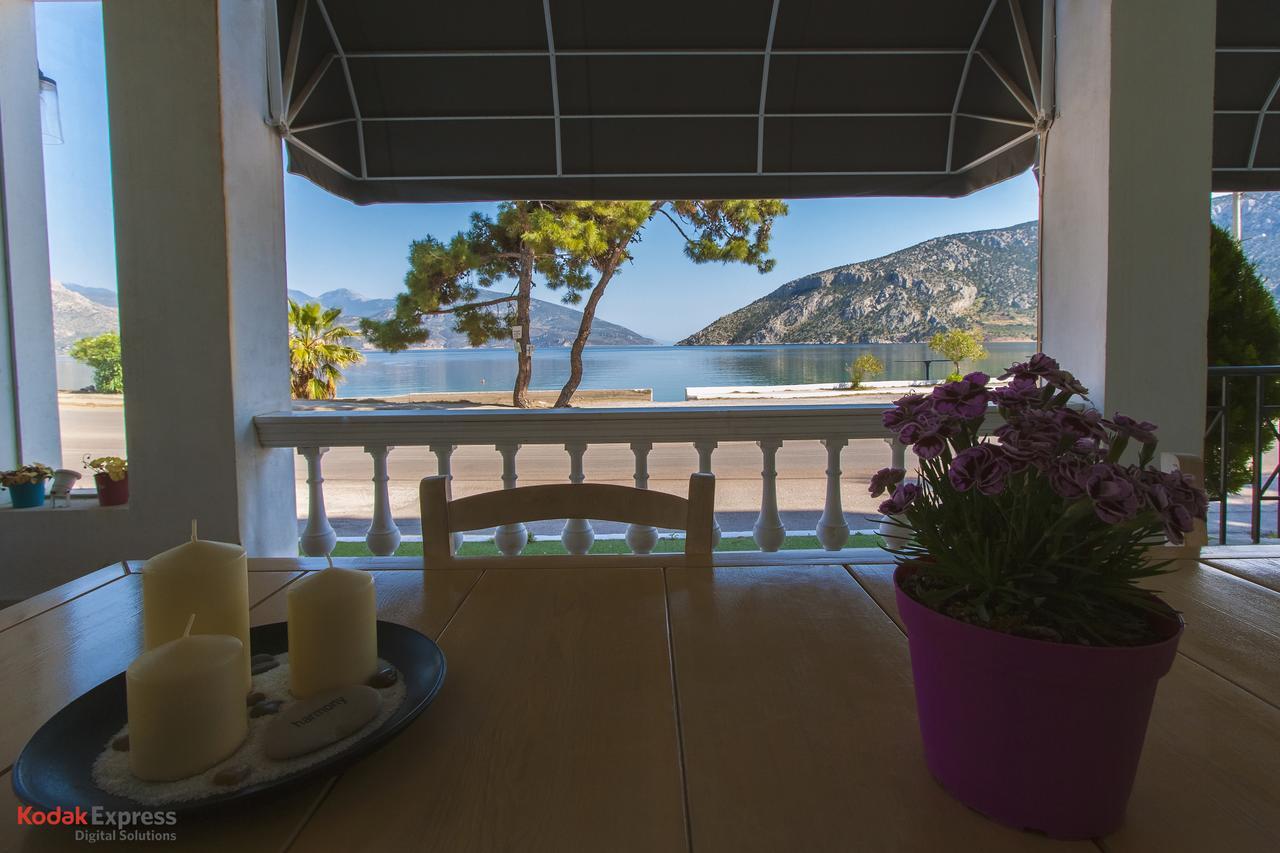 Antikyra Beach Hotel Exterior photo