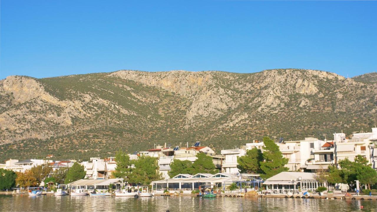 Antikyra Beach Hotel Exterior photo